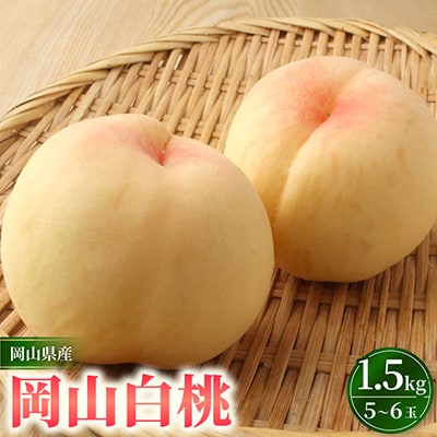 岡山市　一宮産　岡山白桃　5～6玉入り　1.5キロ 化粧箱入り