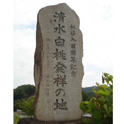岡山市　一宮産　清水白桃　6～8玉入り　2キロ 化粧箱入り