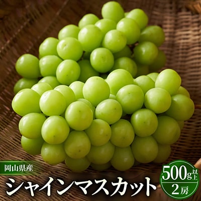 岡山市　一宮産　シャインマスカット　500g以上×2房入り　化粧箱入り