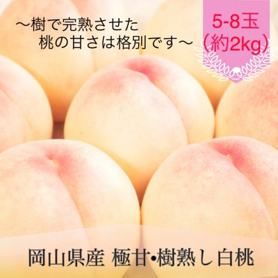 岡山県産 極甘・樹熟し白桃 5-8玉(約2kg)