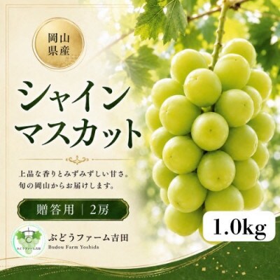 【贈答用】岡山県産シャインマスカット　計1.0kg(2房)