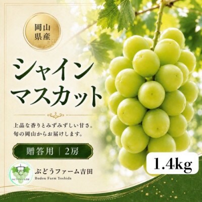 【贈答用】岡山県産シャインマスカット　計1.4kg(2房)