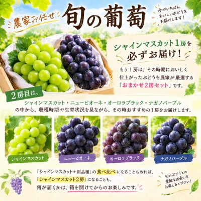 【贈答用】岡山県産葡萄詰め合わせ　計1.0kg(2房)
