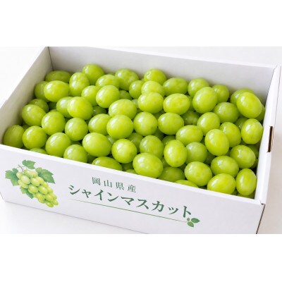 【2027年発送】岡山県産シャインマスカット粒　1kg