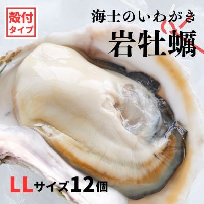 【のし付き】海士のいわがき 4.8kg〜6kg 巨大LLサイズ12個 岩牡蠣 牡蠣 かき CAS冷凍