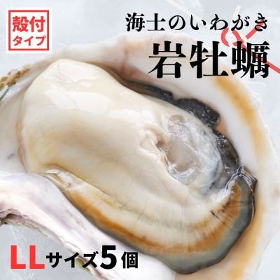 【のし付き】海士のいわがき 2kg〜2.5kg 巨大LLサイズ5個 岩牡蠣 牡蠣 かき CAS冷凍