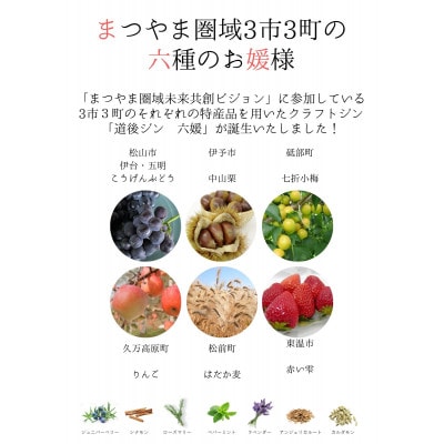 道後ジン　六媛　200ml