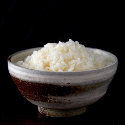 〈坂本自然農場 穂田琉〉特別栽培米:コシヒカリ　精米2kg