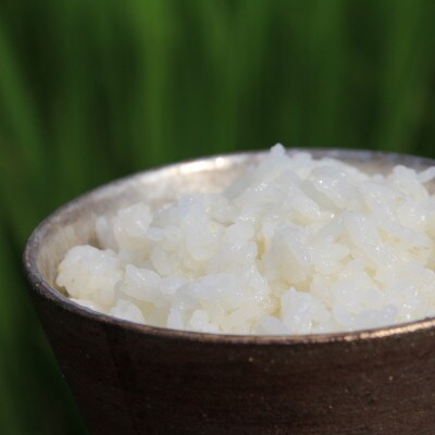 〈坂本自然農場 穂田琉〉JINEN:にこまる　精米2kg
