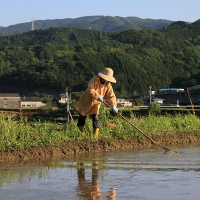 〈坂本自然農場 穂田琉〉 JINEN:ひのひかり　精米2kg