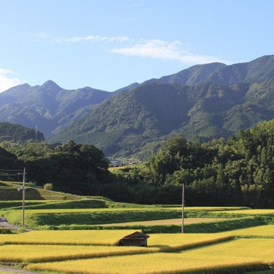 〈坂本自然農場 穂田琉〉 JINEN:ひのひかり　精米2kg