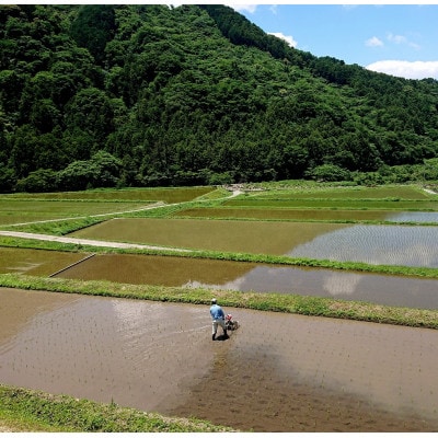 〈坂本自然農場 穂田琉〉 JINEN:ひのひかり　精米5kg
