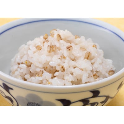 媛もち麥　1kg