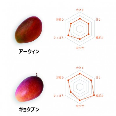 あったかマンゴー / 品種おまかせ / 約4kg