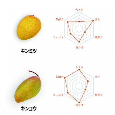 あったかマンゴー / 品種おまかせ / 約4kg