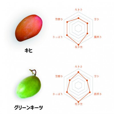 あったかマンゴー / 品種おまかせ / 約4kg