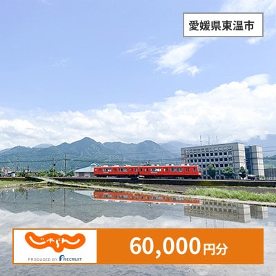 【じゃらんふるさと納税クーポン】 愛媛県東温市でつかえる60,000円 クーポン