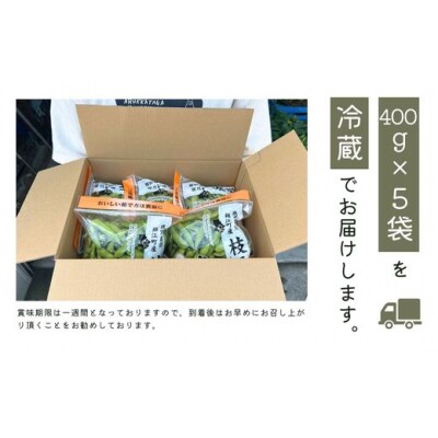 【先行受付】錦江町産枝豆〈茶豆〉2kg(No.1417-1)