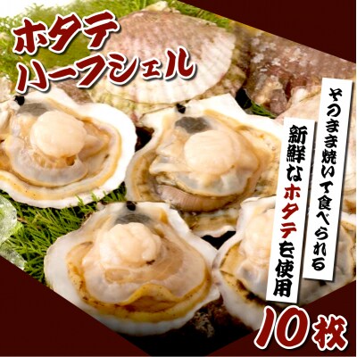 ホタテハーフシェル10枚 約1.6～1.8kg F21H-422