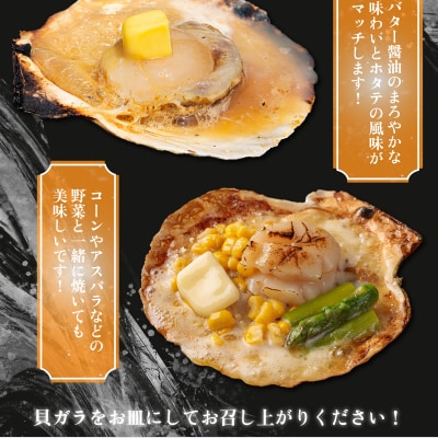 ホタテハーフシェル10枚 約1.6～1.8kg F21H-422