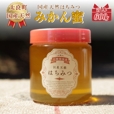 太良町産はちみつ(みかん蜜)  江頭(勇)養蜂場      　600g　N225