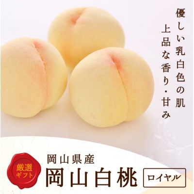 岡山県産　白桃 6玉(1.5kg以上) 等級:ロイヤル 化粧箱入り