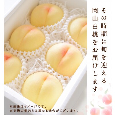 岡山県産　白桃 6玉(1.5kg以上) 等級:ロイヤル 化粧箱入り