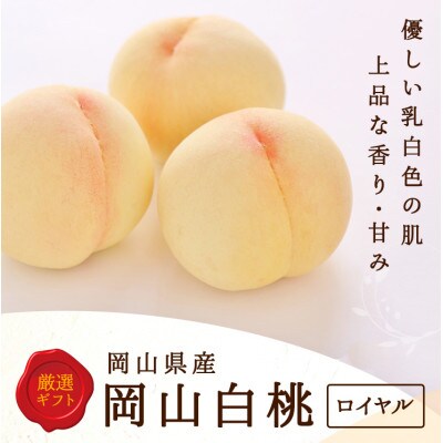 岡山県産　白桃 5玉(1.5kg以上) 等級:ロイヤル 木箱入り