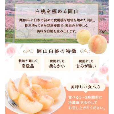 岡山県産　白桃 5玉(1.5kg以上) 等級:ロイヤル 木箱入り