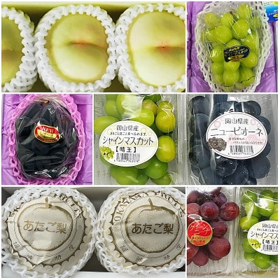 【発送月固定定期便】岡山県産 フルーツ定期便《お一人様向け》全6回