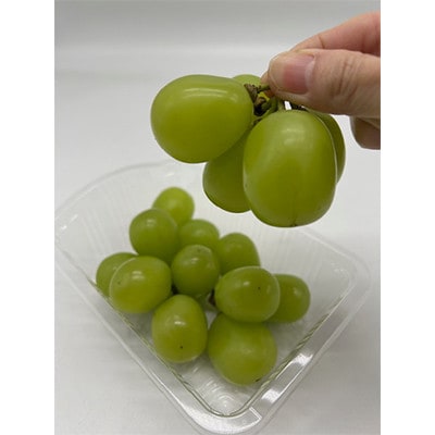 【発送月固定定期便】岡山県産 フルーツ定期便《お一人様向け》全6回