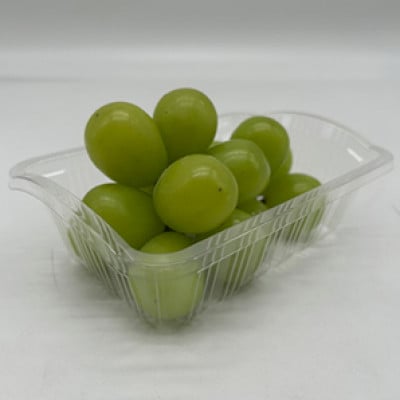 【発送月固定定期便】岡山県産 フルーツ定期便《お一人様向け》全6回