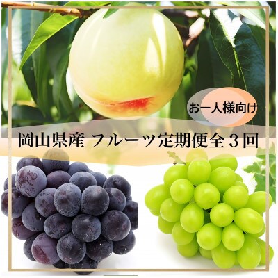 【発送月固定定期便】岡山県産 フルーツ定期便《お一人様向け》全3回