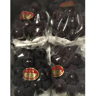 【農家直送】岡山産 ニュー ピオーネ 2kg(3-4房)朝どれぶどう