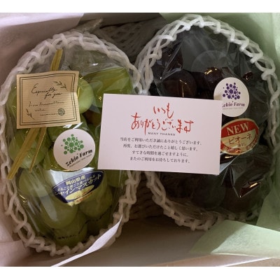 【農家直送】食比べセット 2房　朝どれぶどう　1kg前後 葡萄