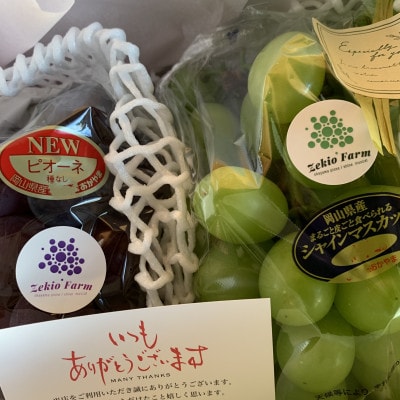 【農家直送】食比べセット 2房　朝どれぶどう　1kg前後 葡萄