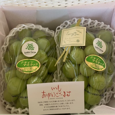 先行予約 農家直送 岡山産 シャインマスカット 2房 1kg前後 朝どれその日のうちに発送!