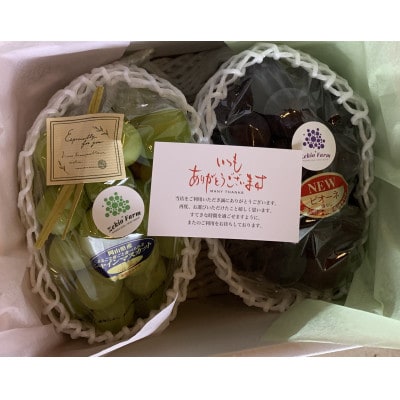 【農家直送】先行予約 ピオーネとシャインの食べ比べセット 各1房  1kg前後 朝どれぶどう