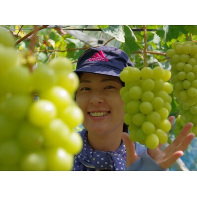 【農家直送】先行予約 ピオーネとシャインの食べ比べセット 各1房  1kg前後 朝どれぶどう