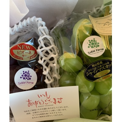 【農家直送】先行予約 ピオーネとシャインの食べ比べセット 各1房  1kg前後 朝どれぶどう