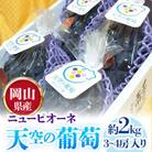 天空の葡萄(岡山県産 ニューピオーネ)　3房～4房入り 約2.0kg 美味しい笑顔をお約束