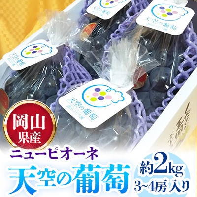 天空の葡萄(岡山県産 ニューピオーネ)　3房～4房入り 約2.0kg 美味しい笑顔をお約束