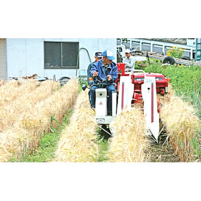 宇治町産 もち麦 地ビール 「花笠」 3本セット
