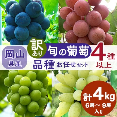 【2025年先行受付】　岡山県産　ご家庭用　旬の葡萄　品種お任せセット4kg　6房～9房入り4種以上