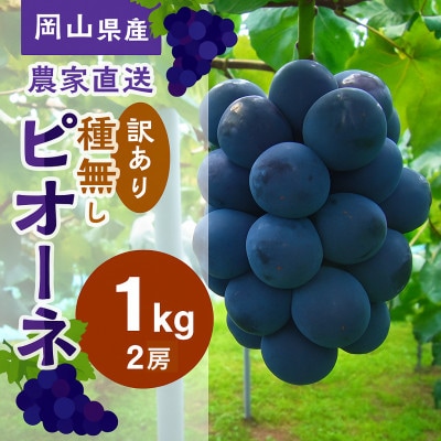 【2026年先行受付】こあに葡萄園　岡山県産　農家直送ご家庭用訳あり　ピオーネ1kg　2房入り