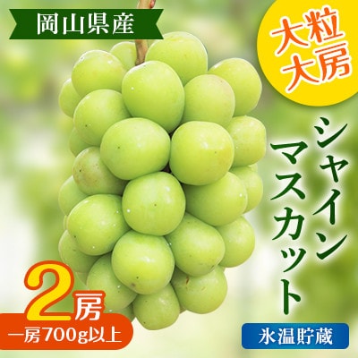 氷温貯蔵【2025年度発送分】大粒 大房 シャインマスカット 2房 (一房700g以上) 岡山県産
