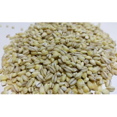 栽培期間中有機・農薬不使用の合鴨米(コシヒカリ10kg)・もち麦(フクミファイバー1kg)