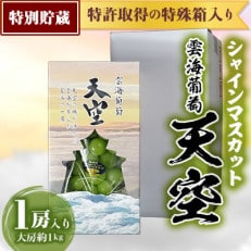 シャインマスカット 特別貯蔵 雲海葡萄 天空 1房入り 大房約1kg