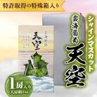 シャインマスカット 雲海葡萄 天空 1房入り 大房約1kg