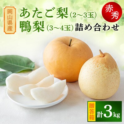 【2024年発送分】岡山県産　あたご梨2～3玉・鴨梨3～4玉 詰め合わせ　赤秀3kg　贈答箱　